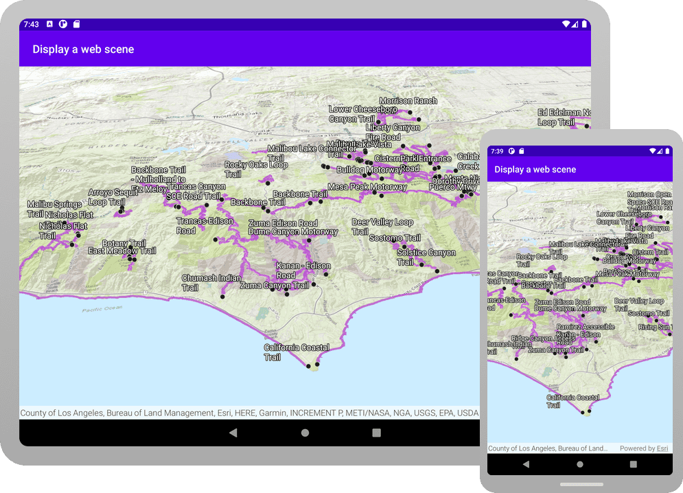 display a web scene