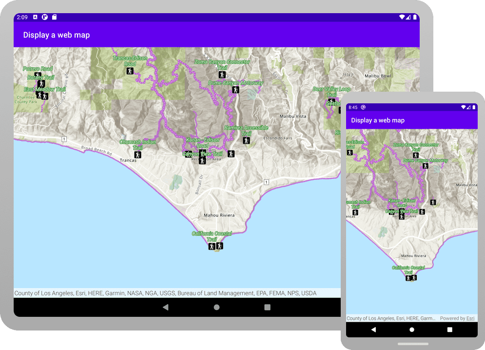 display a web map