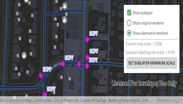 Display subtype feature layer app