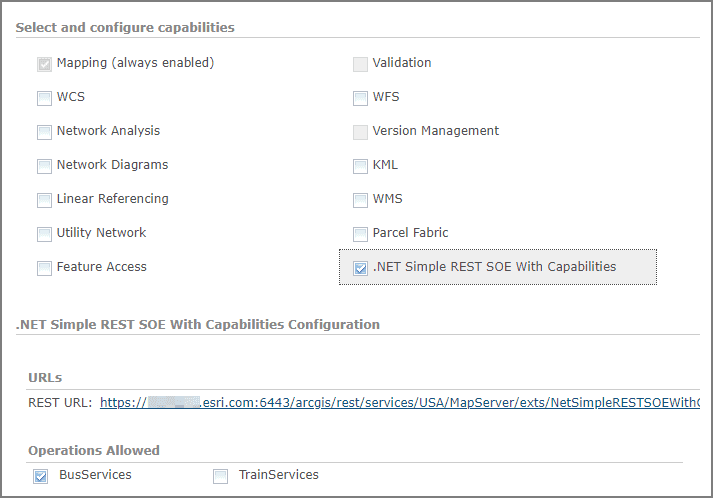 NetCapabilities0