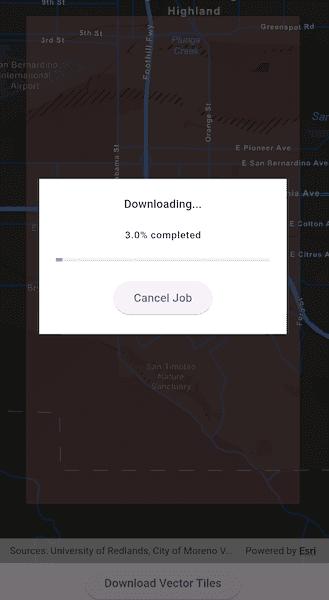 Image of download vector tiles to local cache