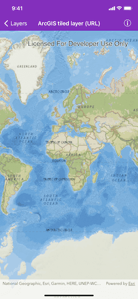 ArcGIS tiled layer (URL) sample