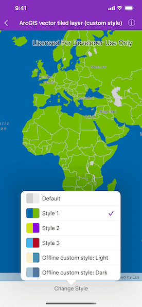 Custom styled ArcGIS vector tiled layer