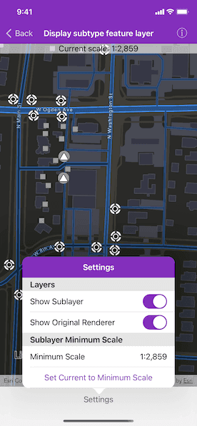 Display Subtype Feature Layer