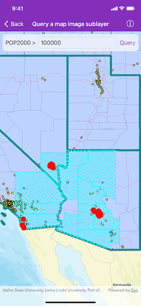 Query a map image sublayer sample