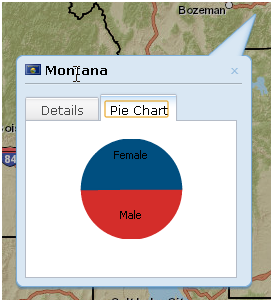 Info Window Chart Example