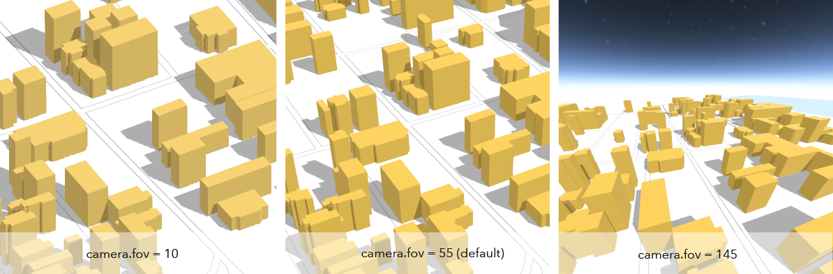 camera field of view examples