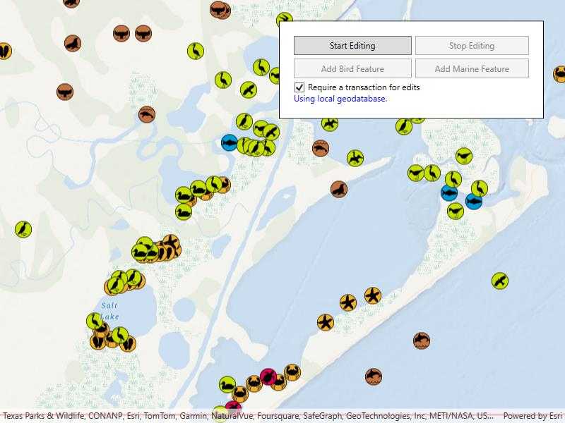 Image of geodatabase transactions