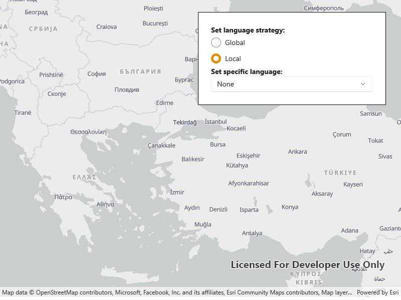 Configure basemap style parameters