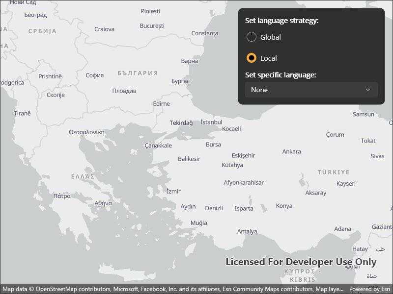 Configure basemap style parameters