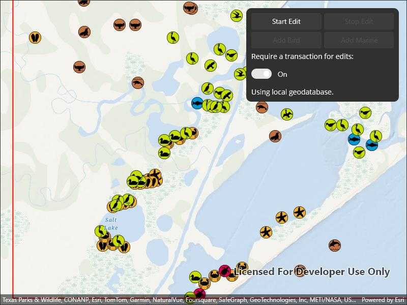 Image of geodatabase transactions