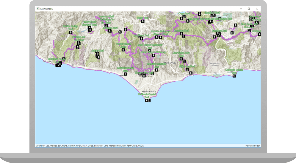 display a web map