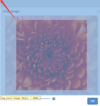 The width, height, and offset of the crop rectangle